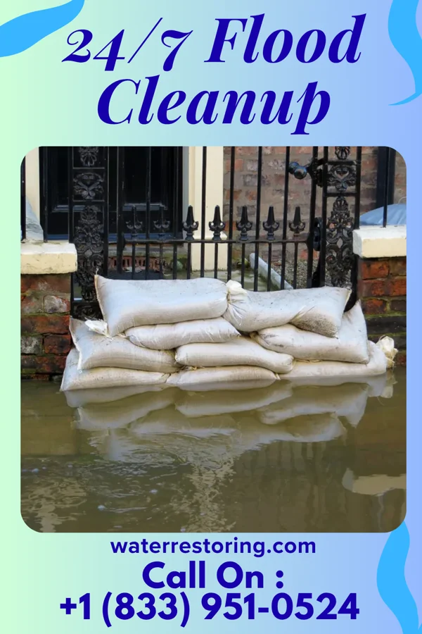 24/7 Flood Cleanup in Bay View Gardens, IL