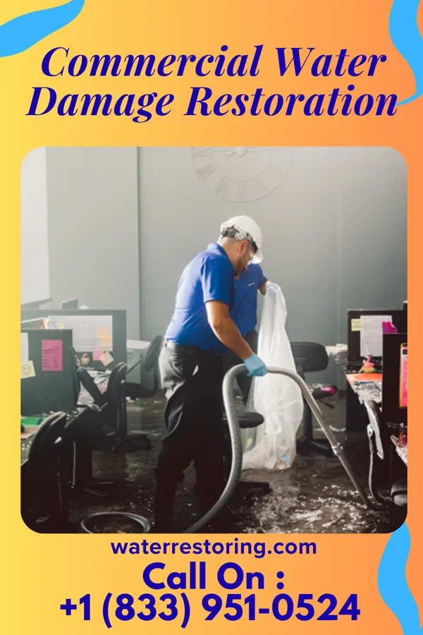 Commercial Water Damage Restoration in Bay View Gardens, IL