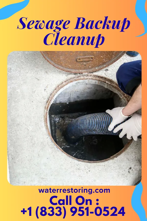 Sewage Backup Cleanup in Bay View Gardens, IL